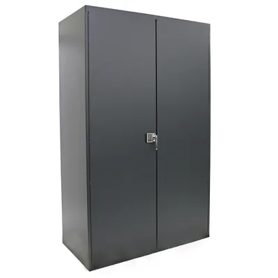 Electronic Locking Cabinet F85874A1, 48"x24"x78"
