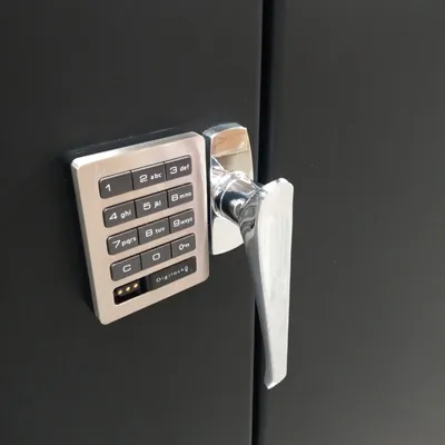 Electronic Locking Cabinet F89356BK, 48"x24"x78"