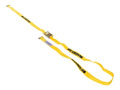 Vestil STRAP-12-RE Polyester Ratcheting Cargo Strap with E-Clip