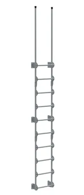 Vestil Steel Walk Through Dock Ladder 10 Step 300 Lb. Capacity Silver