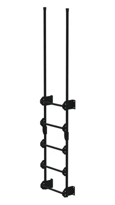 Vestil Steel Walk Through Dock Ladder 5 Step 300 Lb. Capacity Black