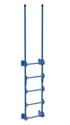 Vestil Steel Walk Through Dock Ladder 5 Step 300 Lb. Capacity Blue