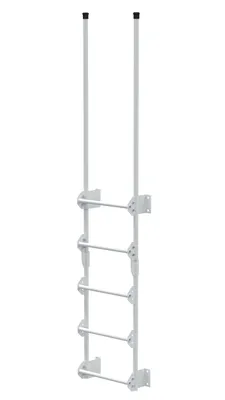 Vestil Steel Walk Through Dock Ladder 5 Step 300 Lb. Capacity White
