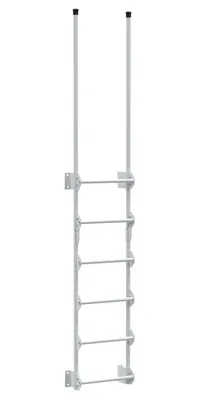 Vestil Steel Walk Through Dock Ladder 6 Step 300 Lb. Capacity White