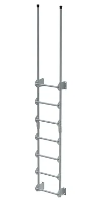 Vestil Steel Walk Through Dock Ladder 7 Step 300 Lb. Capacity Silver