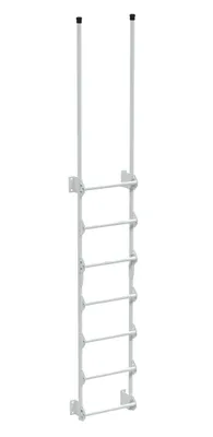 Vestil Steel Walk Through Dock Ladder 7 Step 300 Lb. Capacity White