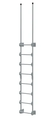 Vestil Steel Walk Through Dock Ladder 8 Step 300 Lb. Capacity Silver