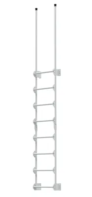 Vestil Steel Walk Through Dock Ladder 8 Step 300 Lb. Capacity White